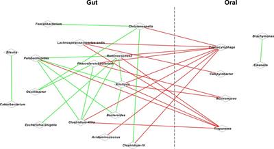 Correlations between gastrointestinal and oral microbiota in children with cerebral palsy and epilepsy